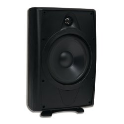 AccentPLUS1 Black Outdoor Speaker 6.5 inches with Fixed Tweeter