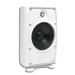 AccentPLUS1 White Outdoor Speaker 6.5 inches with Fixed Tweeter