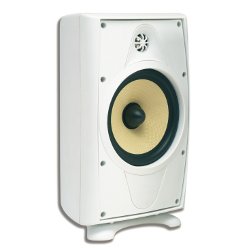 AccentPLUS2 White Outdoor Speaker 6.5 inches with Fixed Tweeter 