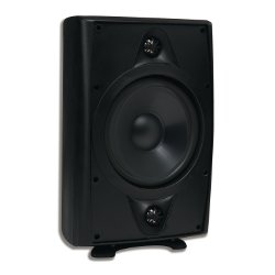 AccentPLUS1 Black Stereo Outdoor Speaker 8.0 inches with Dual Fixed Tweeter (Single)