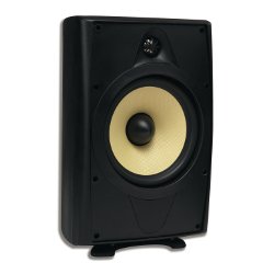 AccentPLUS2 Black Outdoor Speaker 8.0 inches with Fixed Tweeter 