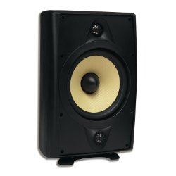 AccentPLUS2 Black Stereo Outdoor Speaker 8.0 inches with Dual Fixed Tweeter (Single)