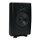 AccentPLUS1 Black Outdoor Speaker 6.5 inches with Fixed Tweeter (Pair)
