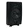 AccentPLUS1 Black Stereo Outdoor Speaker 6.5 inches with Dual Fixed Tweeter (Single)