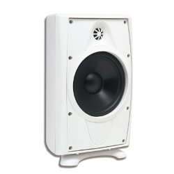 AccentPLUS1 White Outdoor Speaker 8.0 inches with Fixed Tweeter