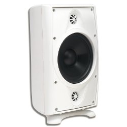 AccentPLUS1 White Stereo Outdoor Speaker 8.0 inches with Dual Fixed Tweeter (Single)