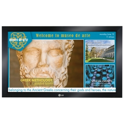 52 inches Professional LCD Display