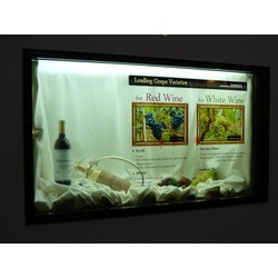 Transparent Display 46